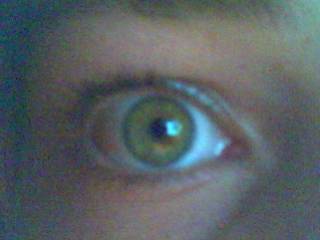 mon oeil